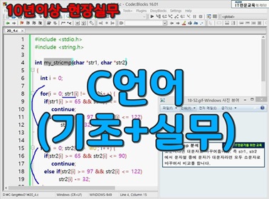 C언어 (기초 + 실무) C언어 (기초 + 실무)